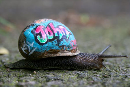 data-centre-john-snail Data Centre Technician John